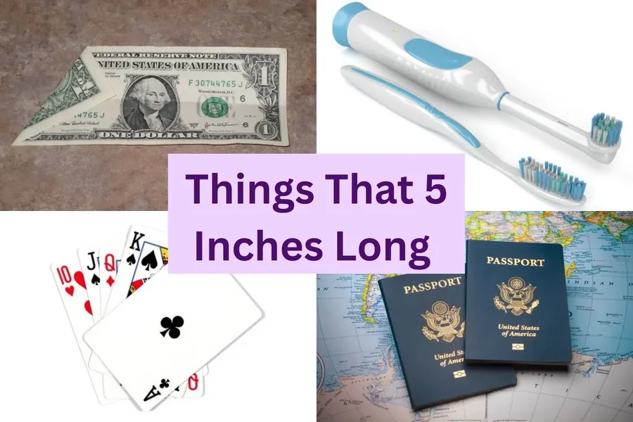 things that are 5 inches