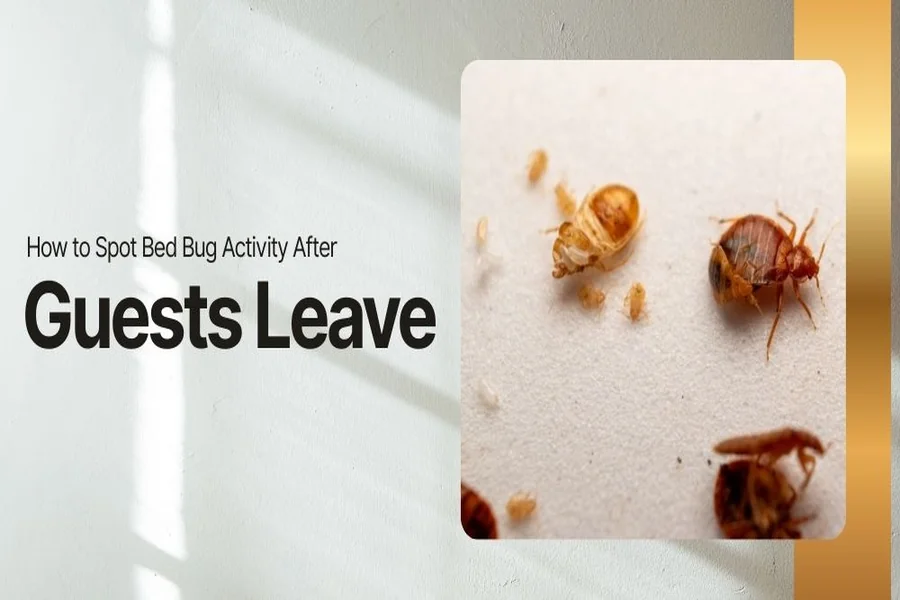 Spot Bed Bug Activity