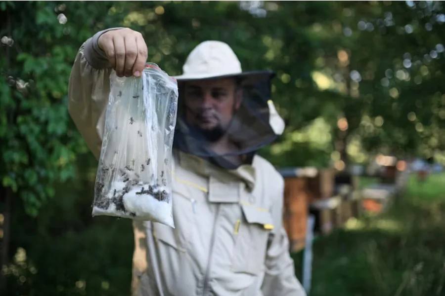 Effective Pest Management