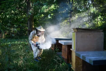 Experience Unforgettable