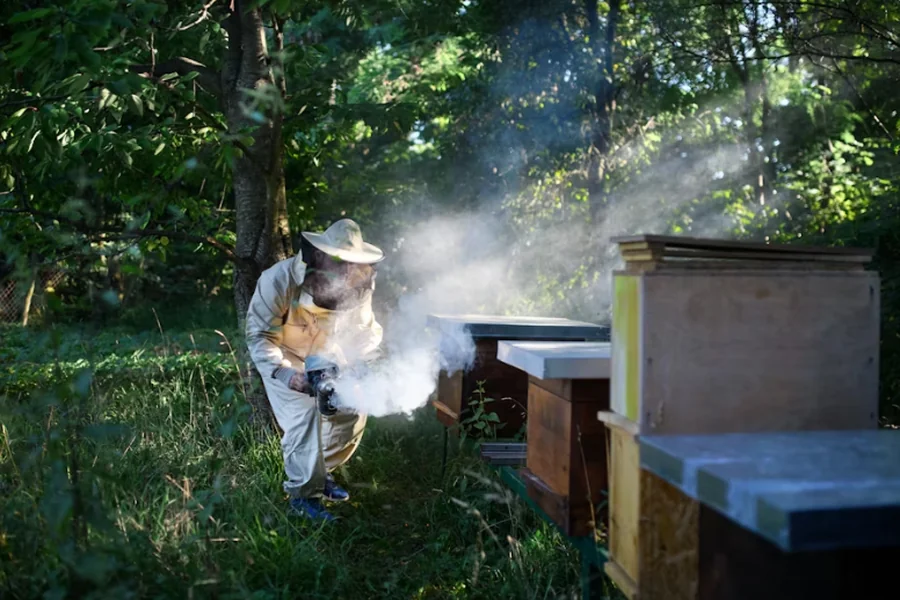 Experience Unforgettable