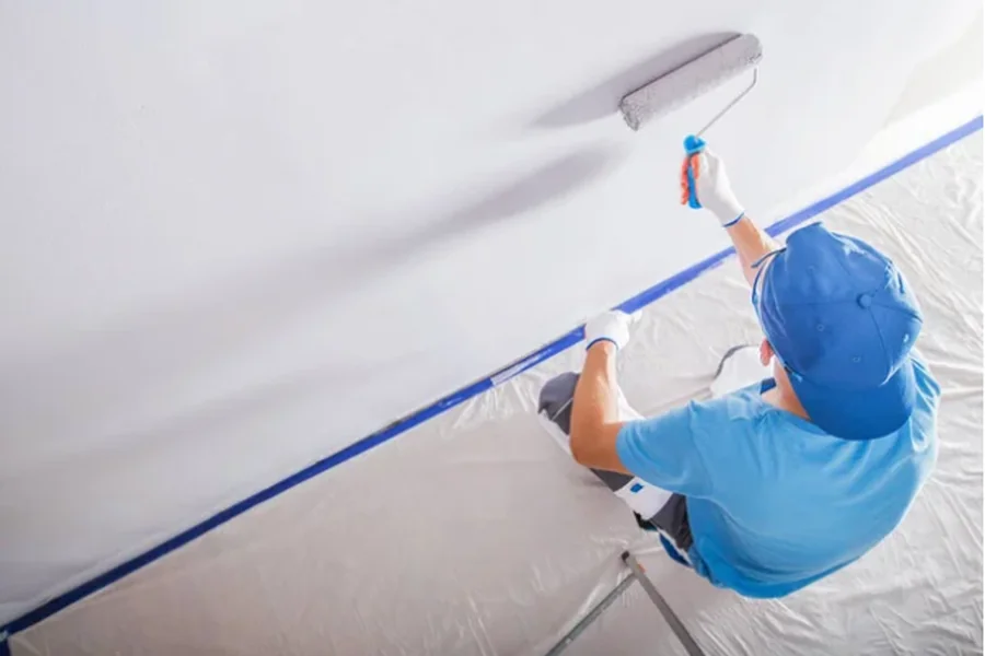 Professional Painting