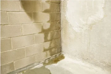 Basement Waterproofing
