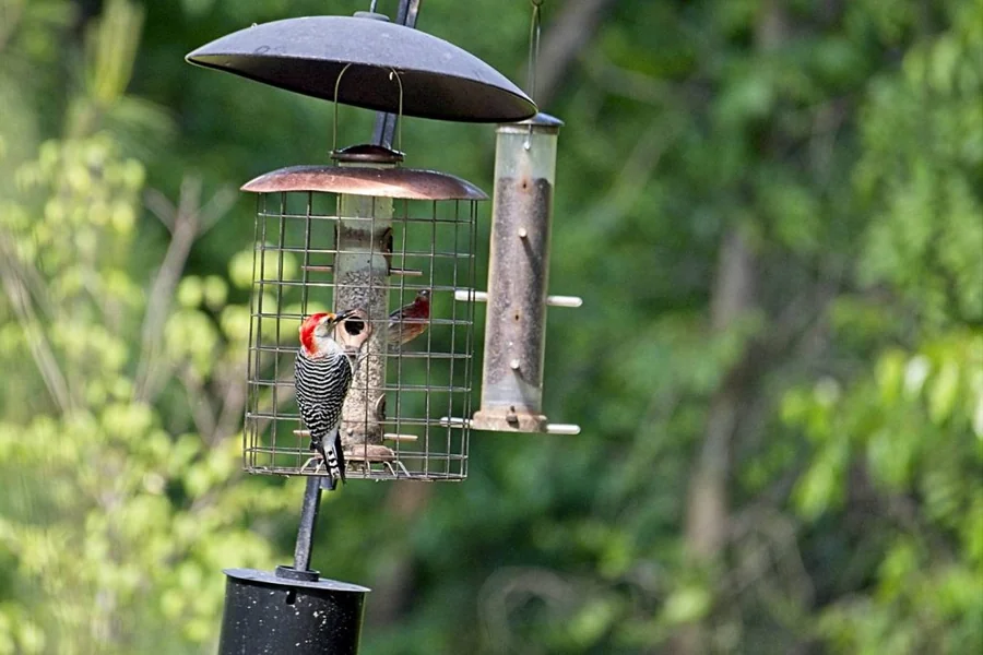 Erva Bird Feeder Pole