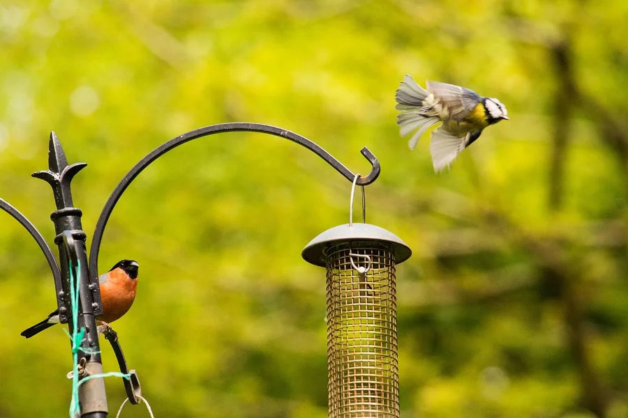 Erva Bird Feeder Pole