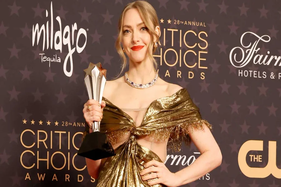 Amanda Seyfried Wardrobe Malfunction